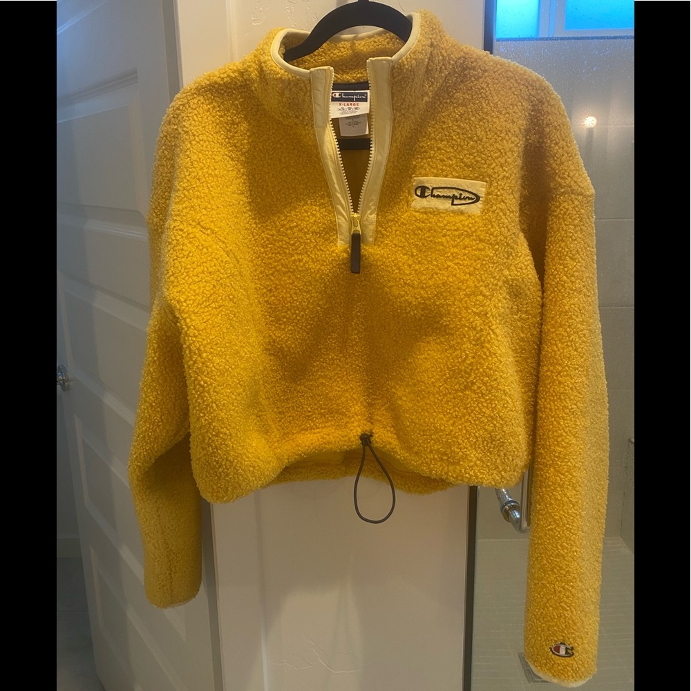 Champion hoodie